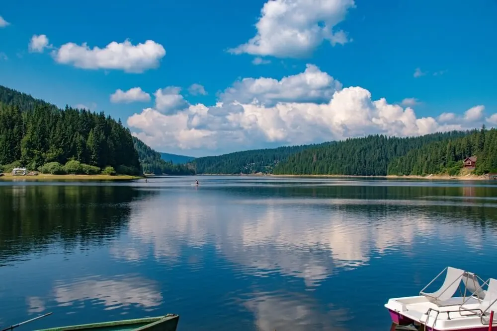 Lacul Beliș–Fântânele, înconjurat de păduri de conifere în Munții Apuseni