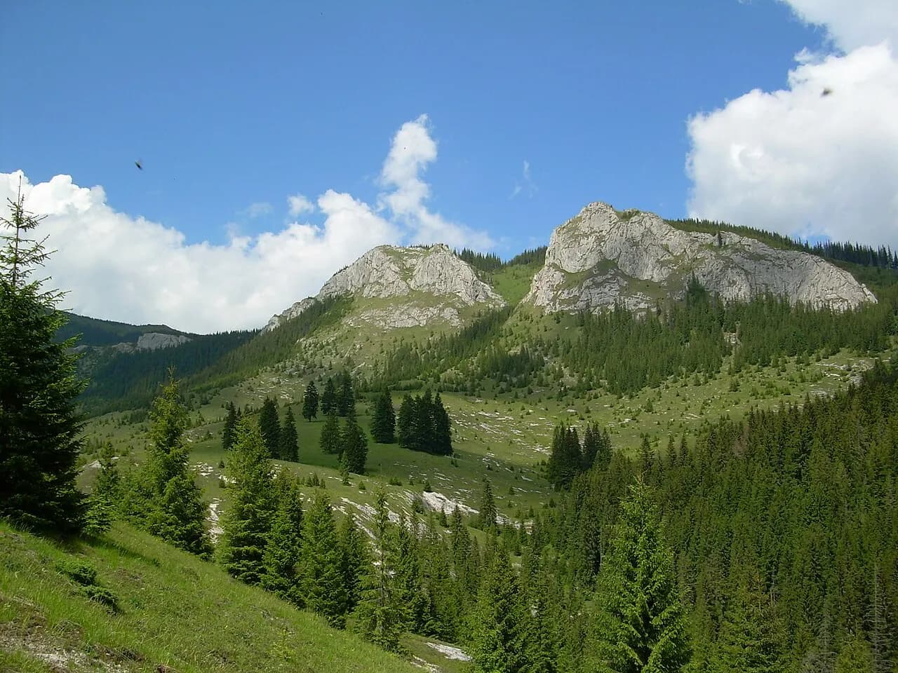 Peisaj montan în zona Valea Firii, Apuseni