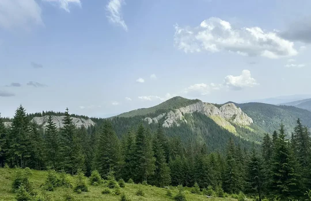 Vârful Vlădeasa (1.836 m), cel mai înalt punct al masivului